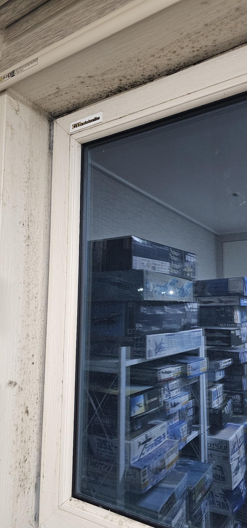 습기방치로-곰팡이-번식(창틀)