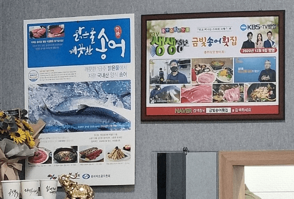 생방송 투데이 송어회 향어회 충북 충주