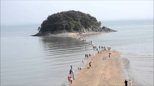 대부도 사진