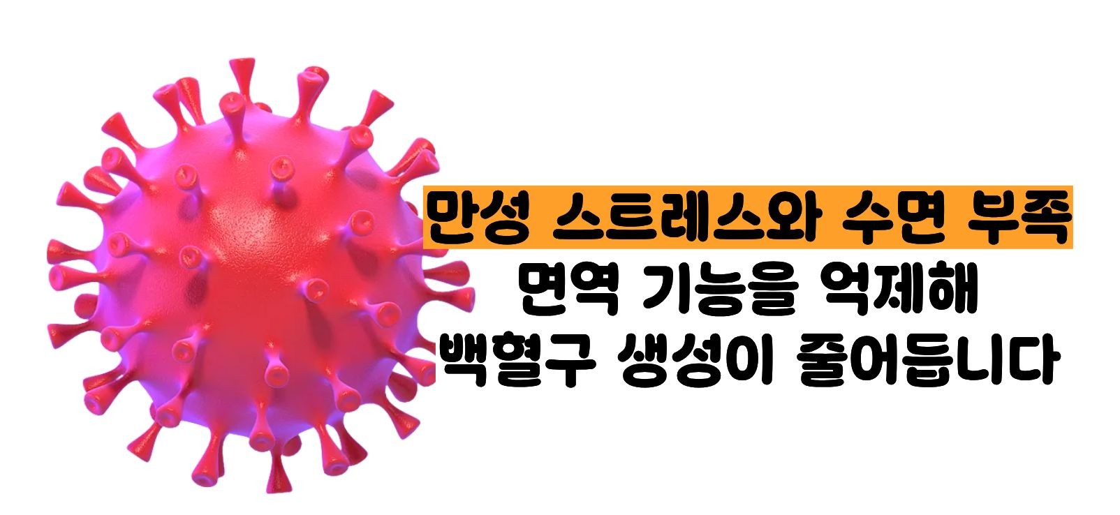 백혈구 수치가 낮은 이유