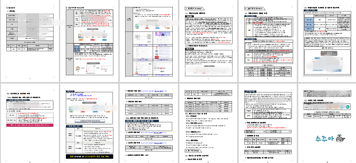 예비창업패키지-합격한-사업계획서