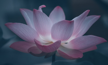 옴마니 반메훔의 뜻 정리 및 일상 적용방법(6글자 의미)