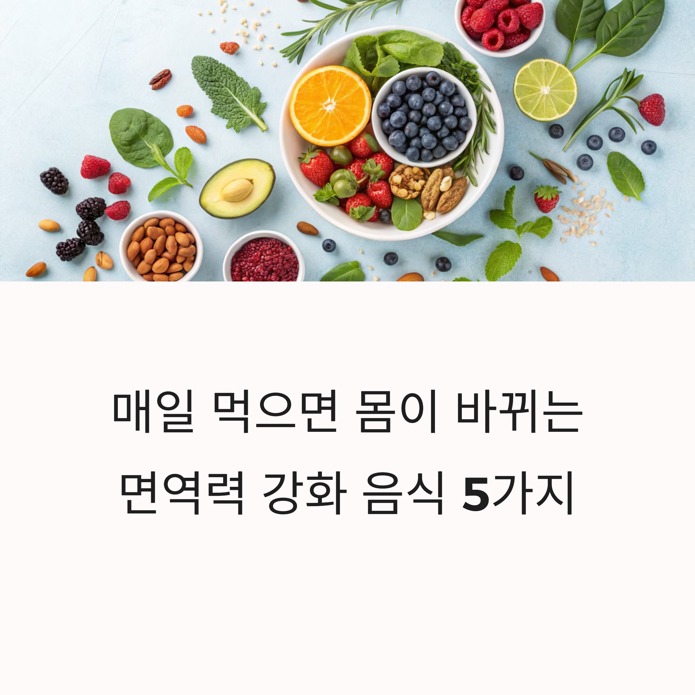 면연력 강화 음식