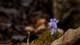 초보자도 쉽게 시작하는 해외ETF 투자 가이드