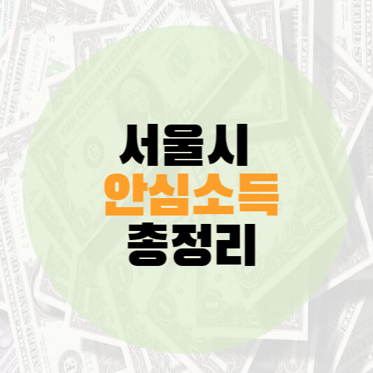 서울 안심소득