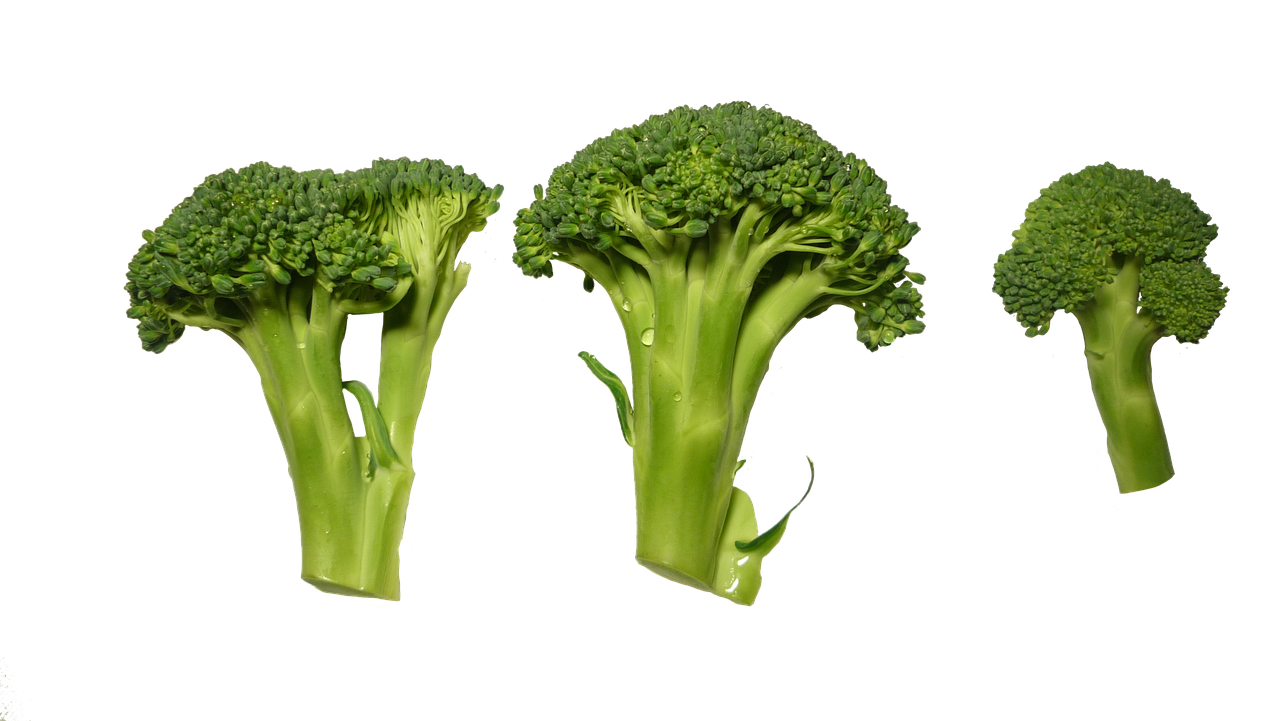 브로콜리의 모습