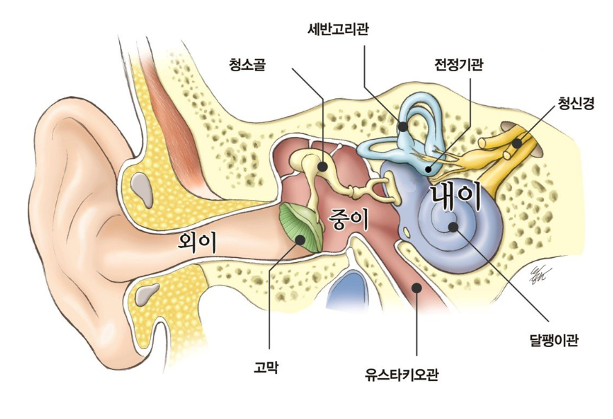 전정신경염