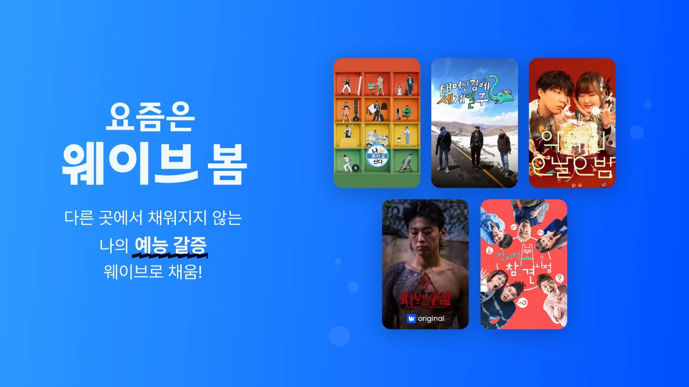 실시간 TV 시청 주의사항