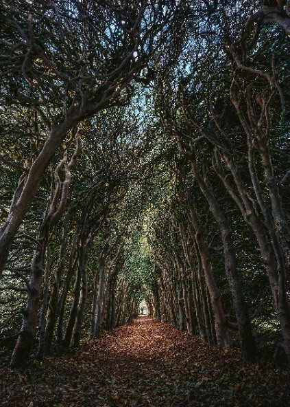 palette 사용방법