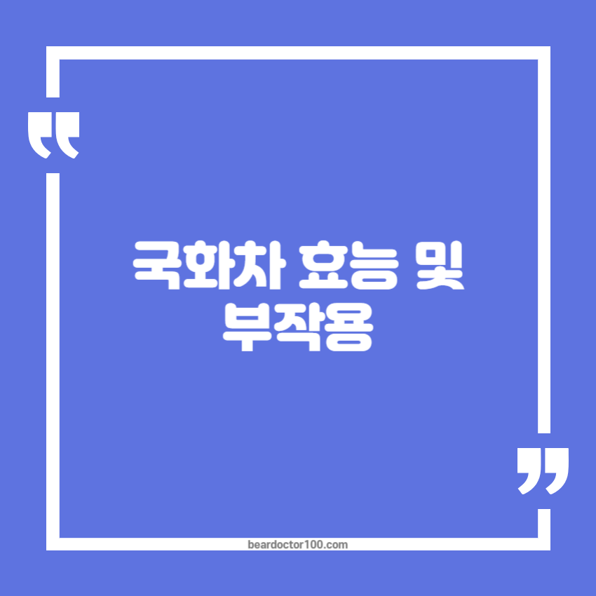 국화차 효능 및 부작용