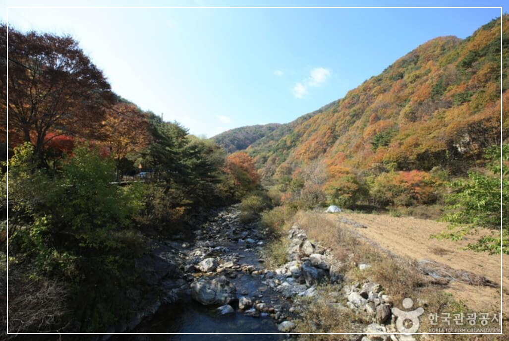 원주 가볼만한곳 베스트10 치악산 국립공원 (비로봉·구룡사)