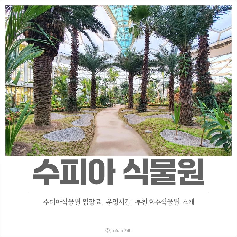 수피아식물원-입장료-운영시간-부천호수식물원