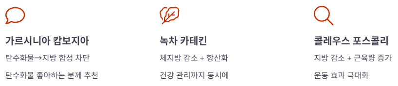 TOP 3 제품의 주요 성분과 효과