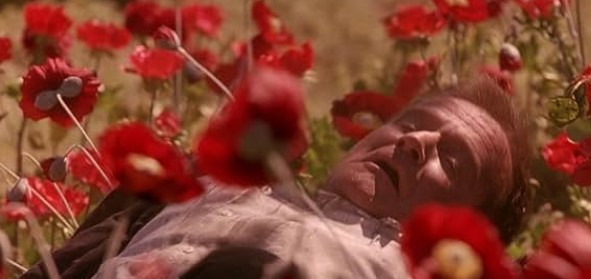 천국보다 아름다운 줄거리 결말 후기 리뷰(호평과 혹평) - 판타지 사후 세계 영화다시보기추천