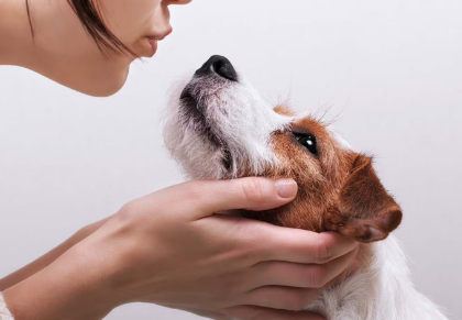 주인의 차분한 목소리.