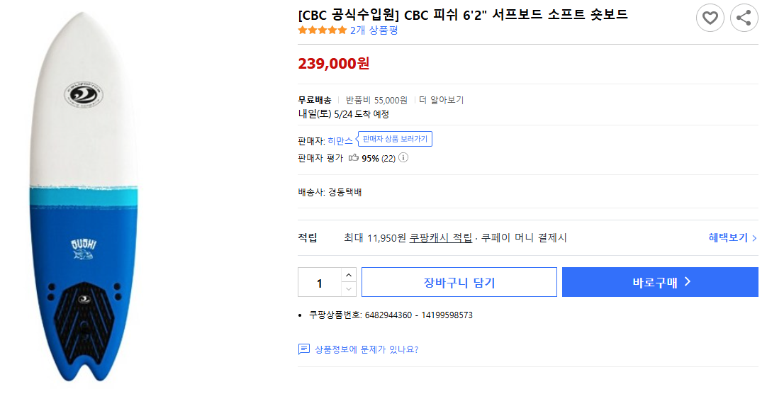 [CBC-공식수입원]-CBC-피쉬-62-서프보드-소프트-숏보드