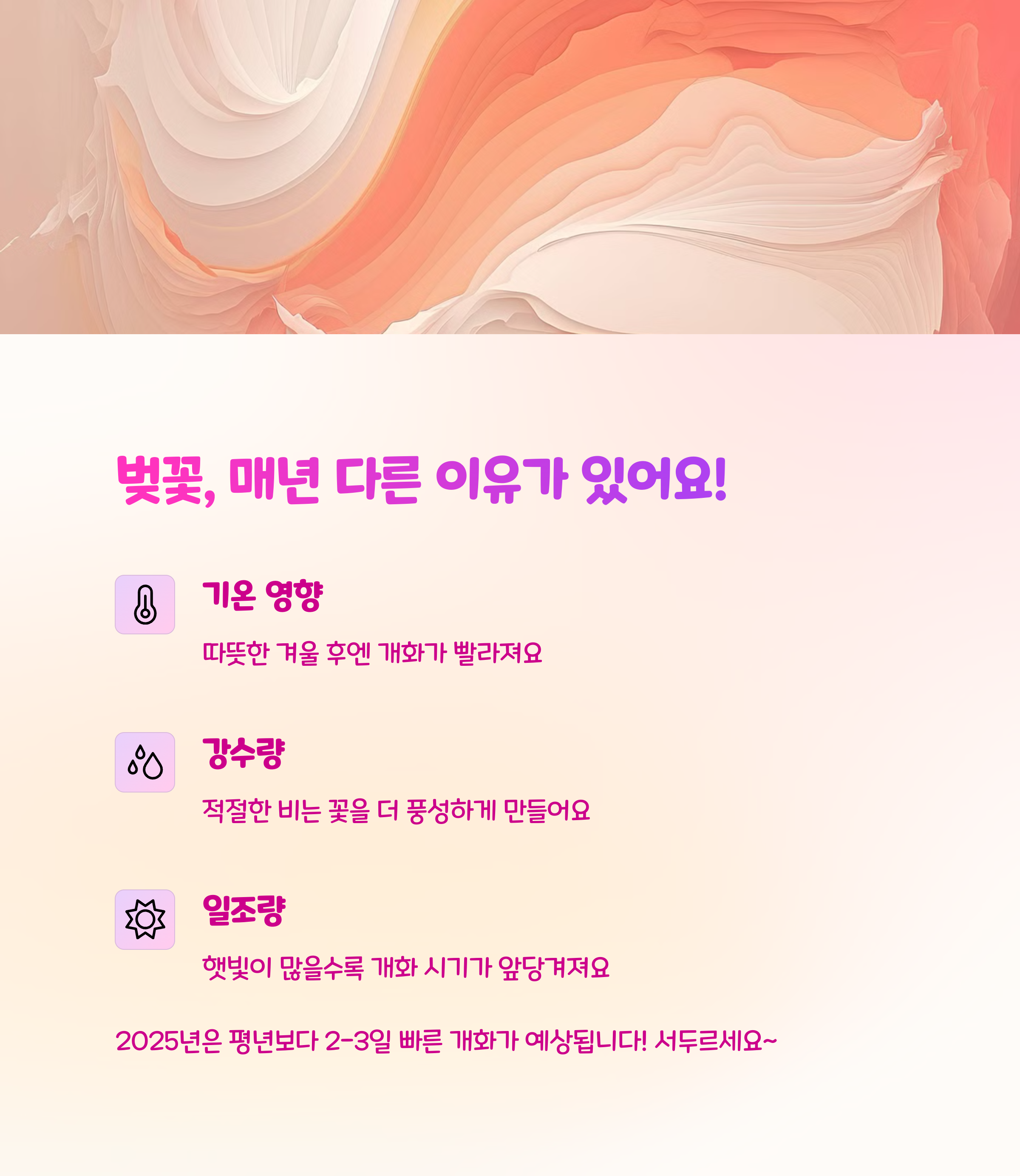 🌸 벚꽃 시즌, 왜 매년 달라질까?