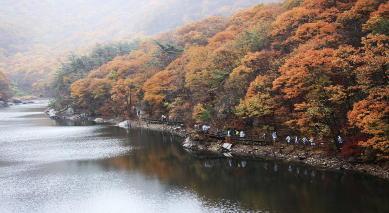 10월 가을단풍 기차여행