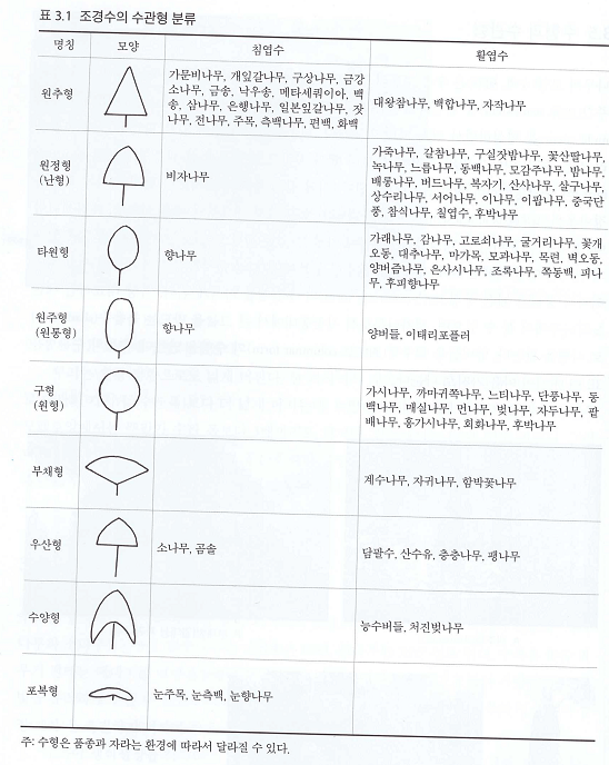 수형과 수관형