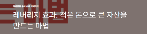 레버리지 효과: 적은 돈으로 큰 자산을 만드는 마법