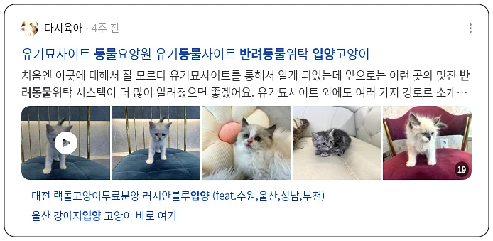 반려동물 입양_2_subsection