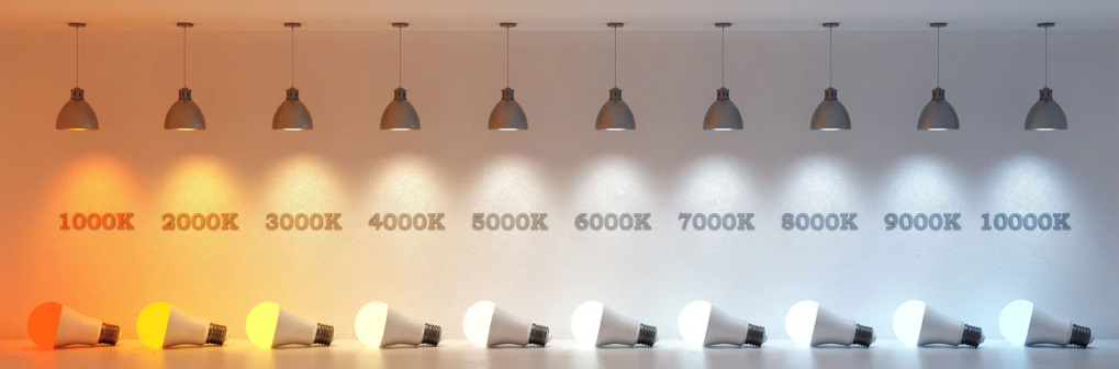 색온도별로 달라지는 색상을 표현