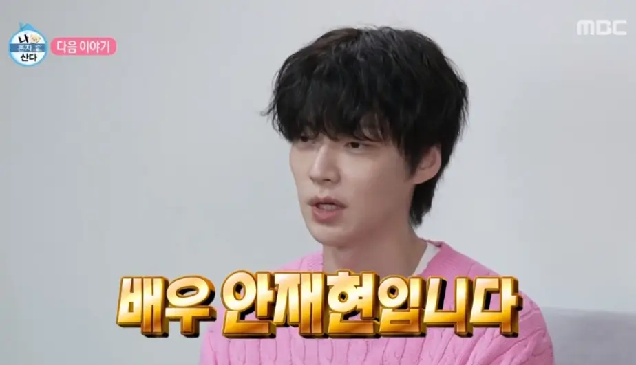 안재현 프로필 필모그라피 나이 드라마 MBTI 이혼 근황 인터뷰 나혼자산다