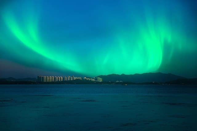 기후 변화 적응 전문가의 역할