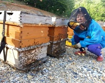 서암벌꿀양봉장