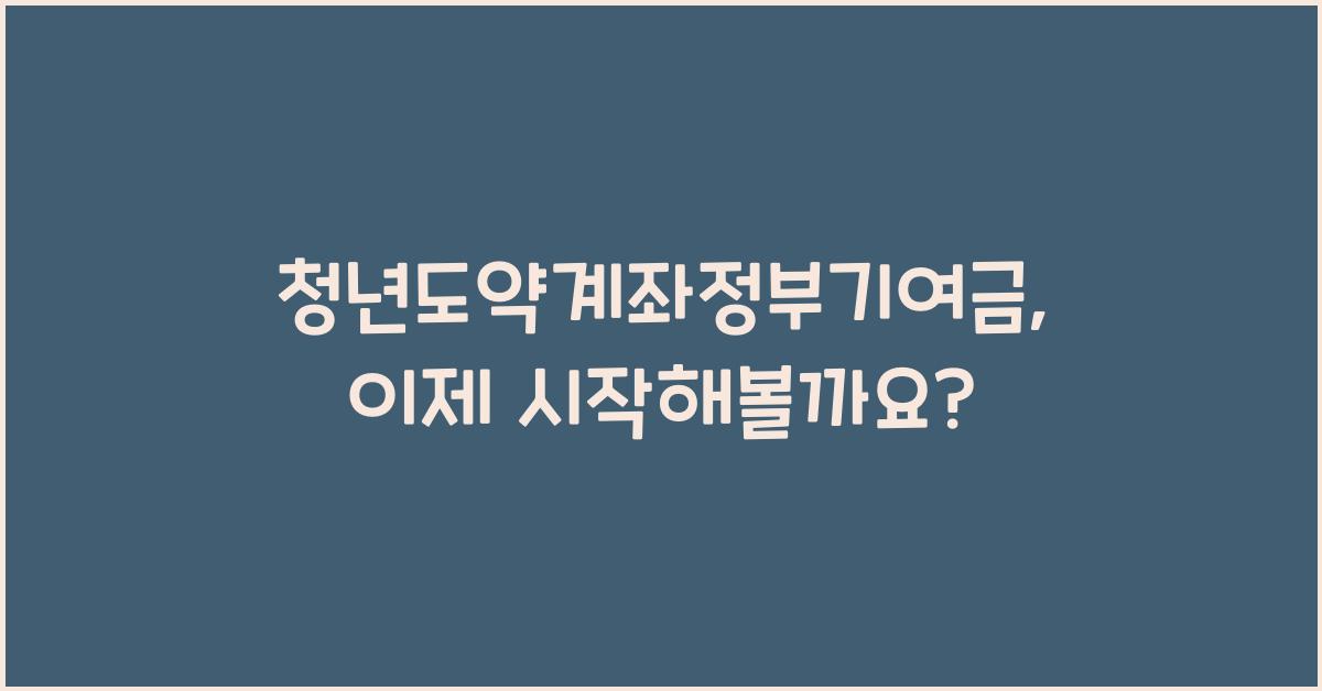 청년도약계좌정부기여금