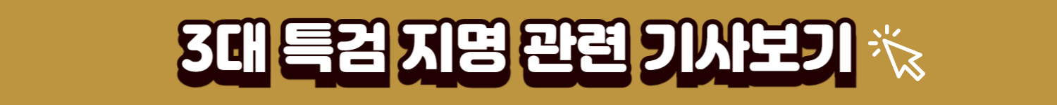 3대특검기사