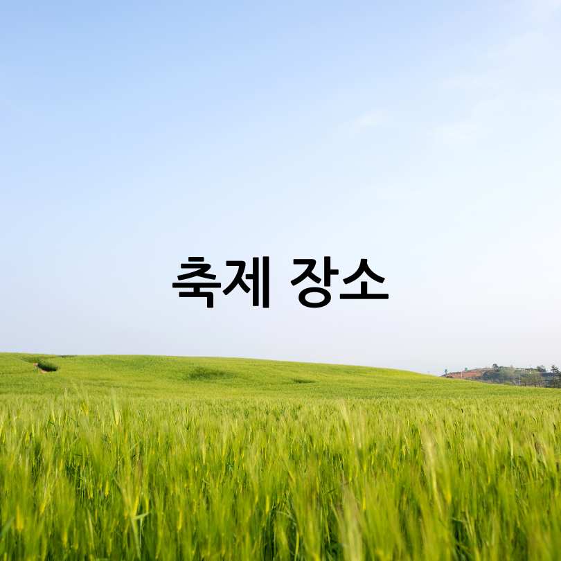 고창 청보리밭 축제 2025