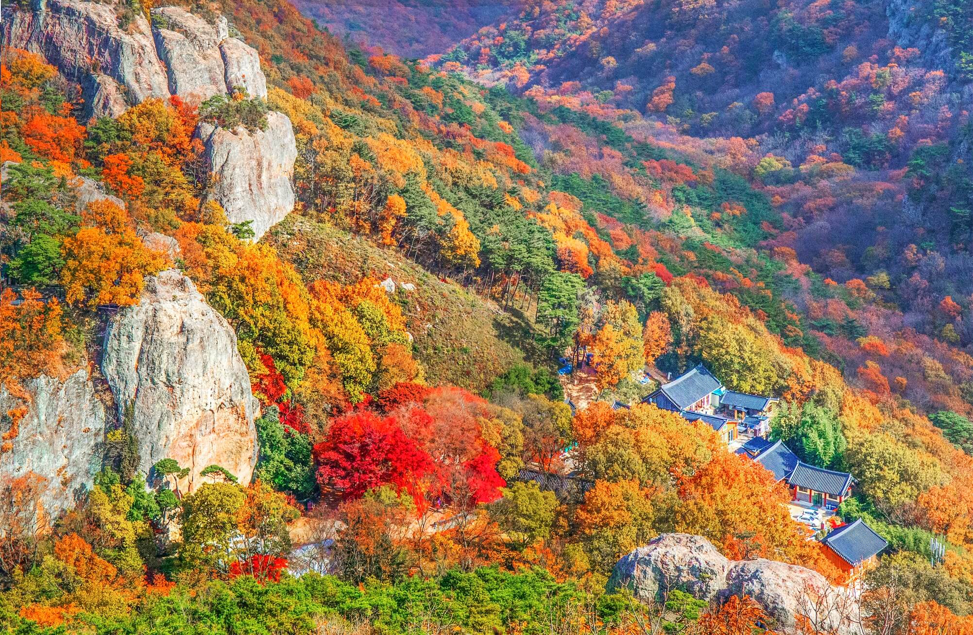 고창 선운산 도립공원 단풍