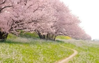 정호승 봄길 명시 10선_8