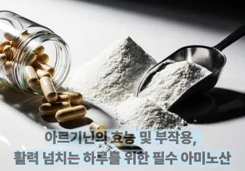 아르기닌의 효능 및 부작용, 활력 넘치는 하루를 위한 필수 아미노산