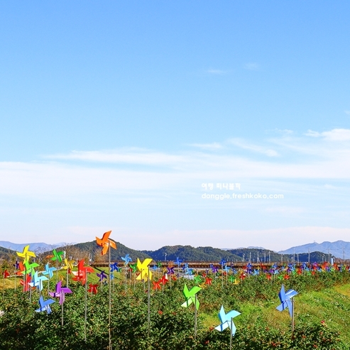 봄에 가볼만한 국내 여행지 베스트10