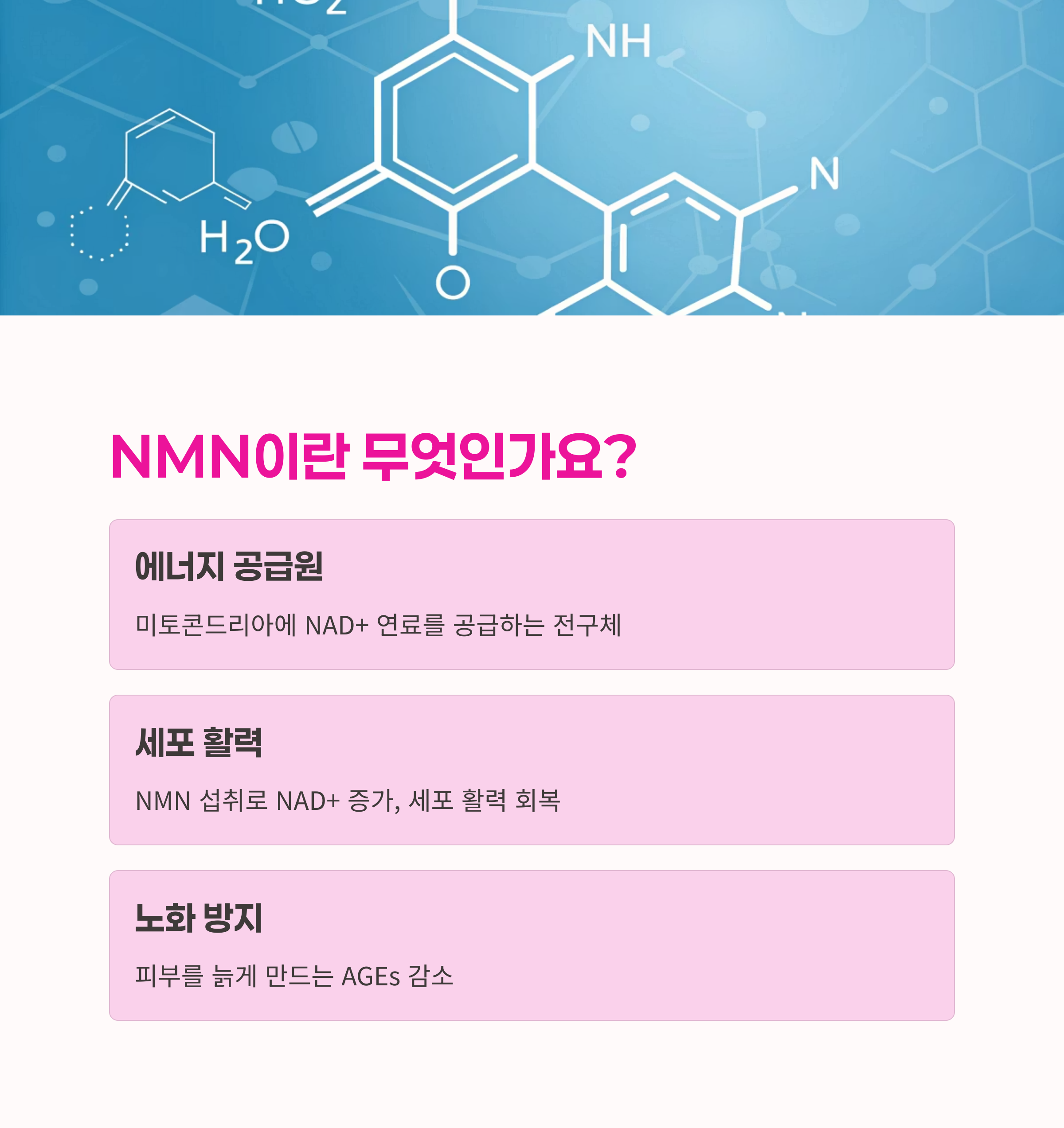 피부노화예방,