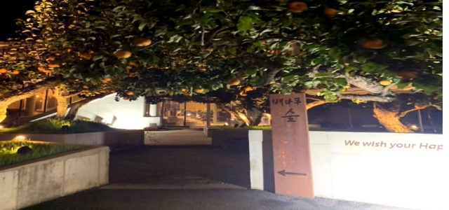 천안 직산읍 배나무숲 카페 야경