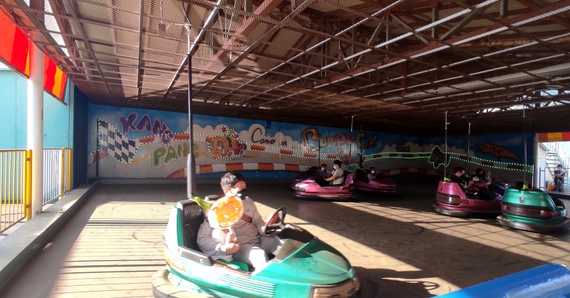 범퍼카를 타는 모습