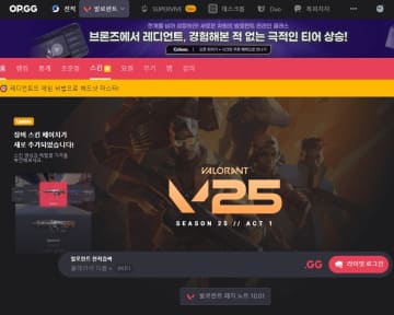 발로란트 OPGG를 이용할 때 계정이 공개설정되어야만 데이터가 정상적으로 표시됩니다.