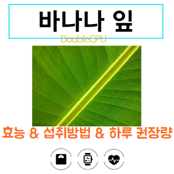 바나나잎