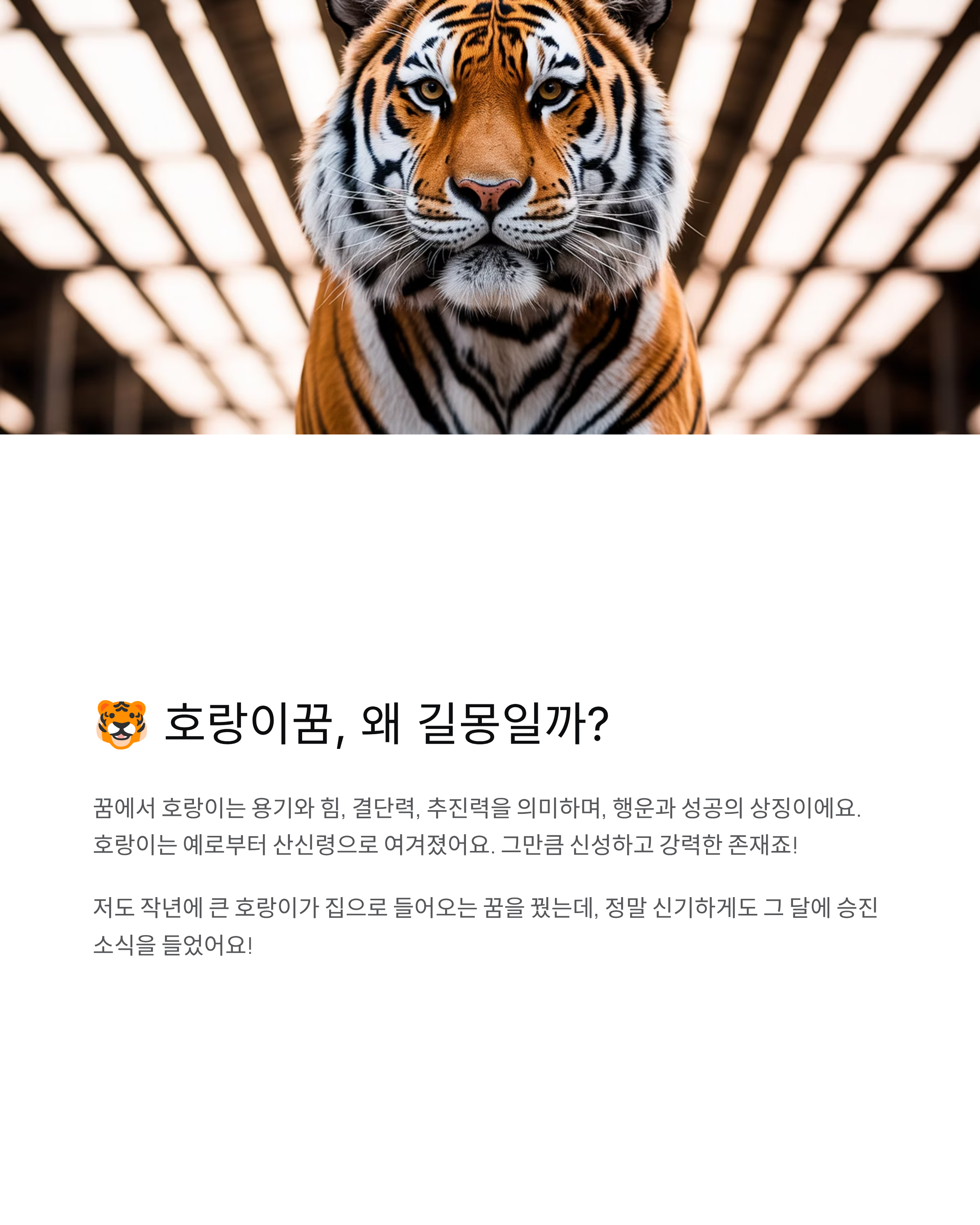 호랑이꿈 해몽 완벽 정리 - 태몽? 로또? 대박 징조 총정리!