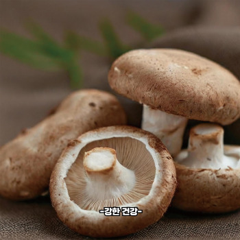 비타민b3 음식 종류