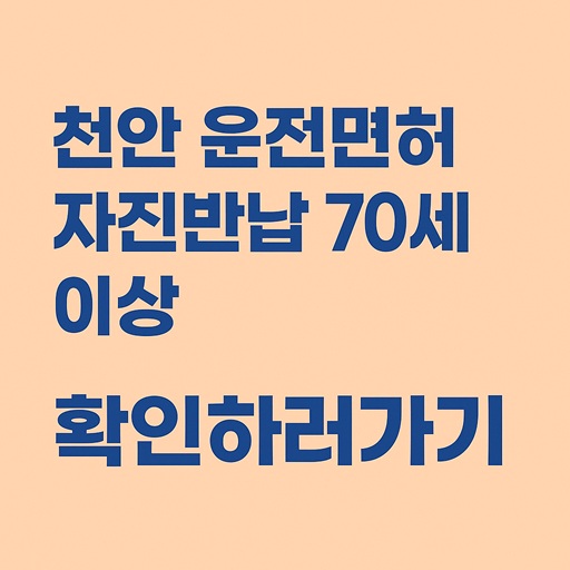 천안시 70세 이상 어르신 필독! 운전면허 자진반납으로 10만 ~ 30만원 혜택