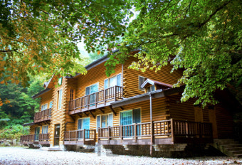 국립 자연휴양림 예약&amp;#44; 왜 나는 안 되고 남들만 될까?