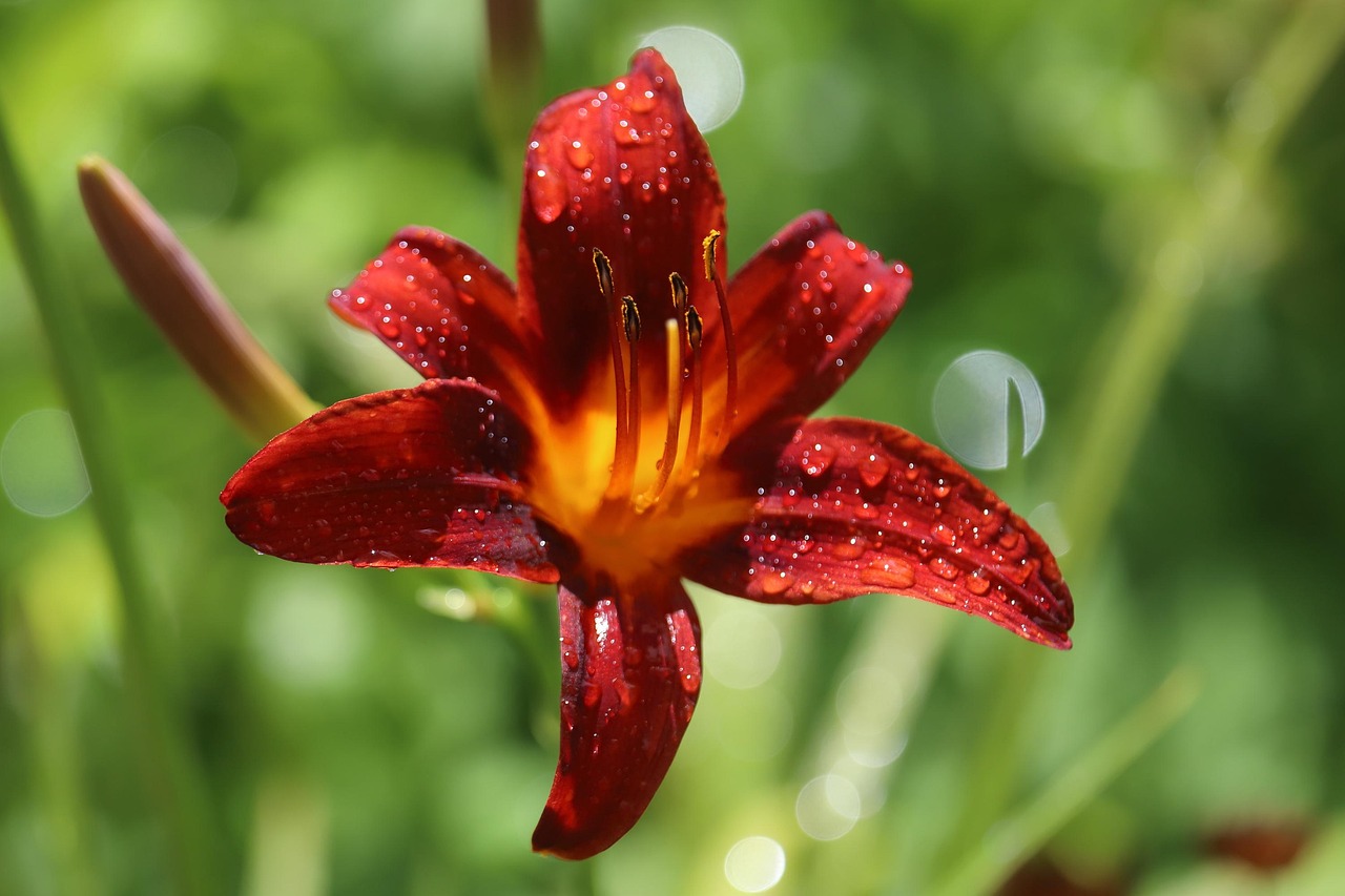 고장 난 파라솔을 수리하는 골목 기술자 장인의 하루