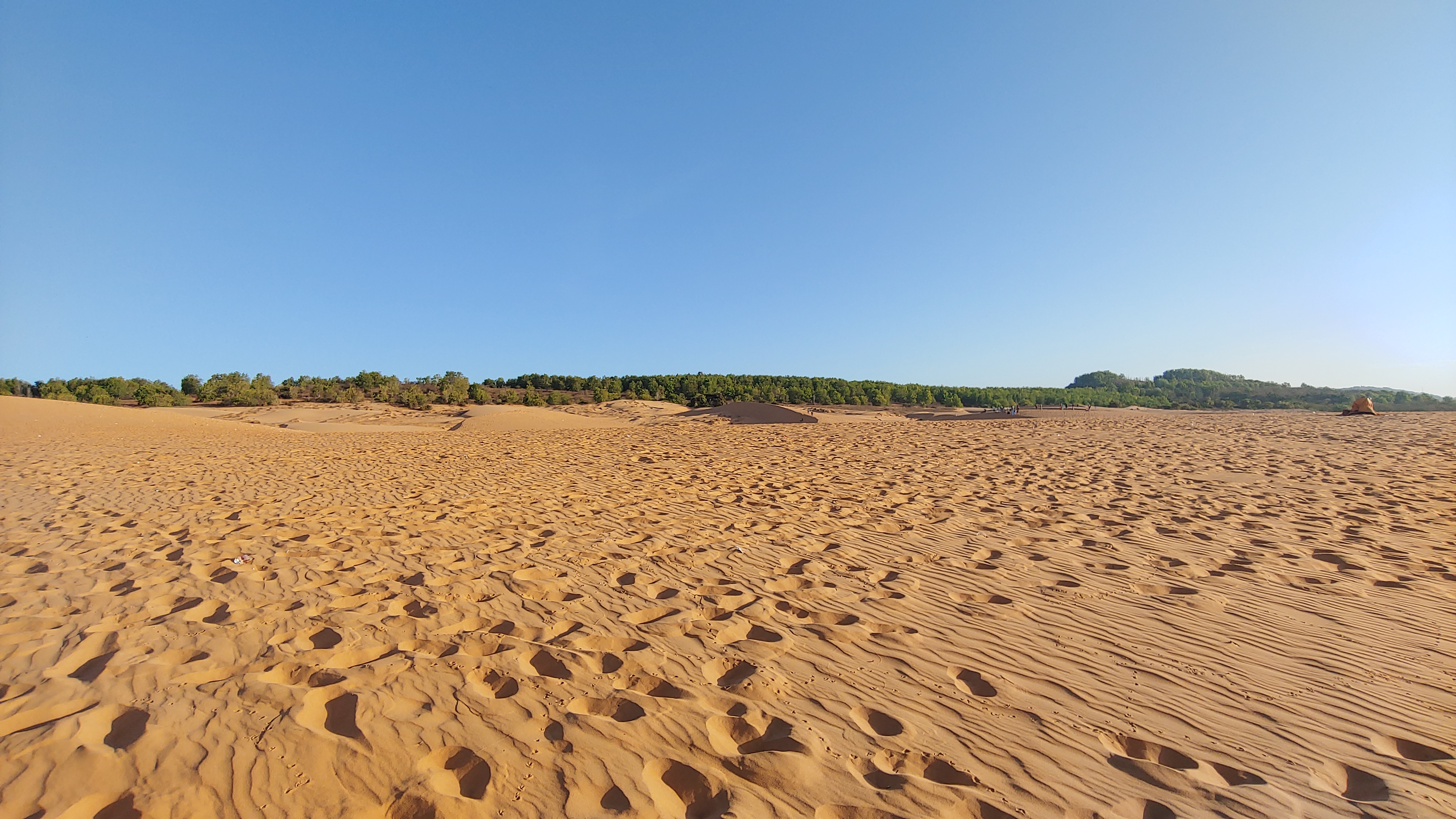 사막 같은 느낌의 레드 샌듄 풍경