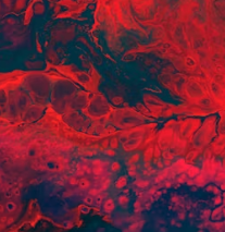 혈관 건강 지키는 7계명 영양제 습관