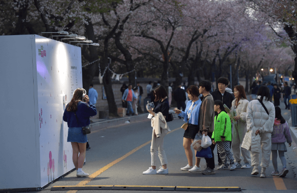 벚꽃축제에-몰린사람들이-체험을즐기고있다