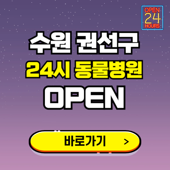 수원시 권선구 24시 동물병원 진료하는 곳 ❘ 설날 휴일 야간 심야 문여는곳 찾기 ❘ 응급진료